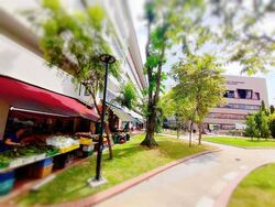 264 SERANGOON CENTRAL (D19), Shop House #611051241